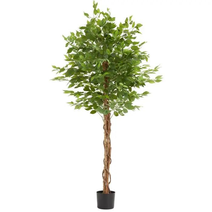 Albero di ficus artificiale Fida