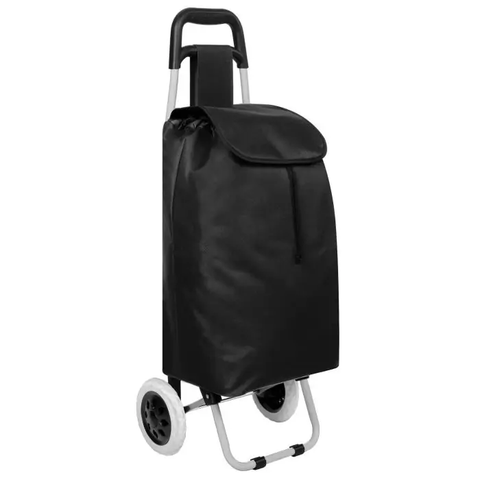Carrello della spesa