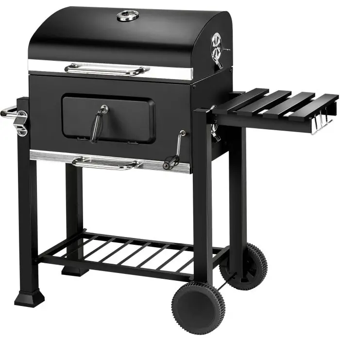 Barbecue a carbonella Florian 