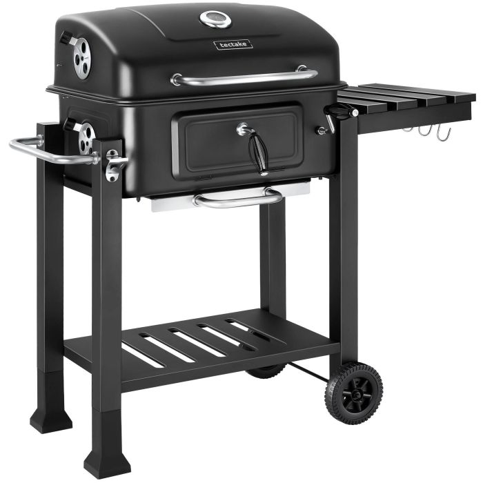 Barbecue a carbonella Florian